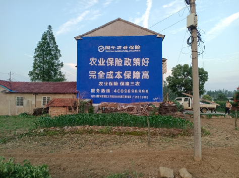 牟定墙体广告为何受追捧？